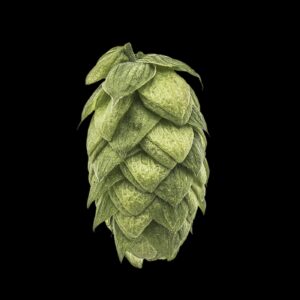 Azacca Hops (Sold per gram)