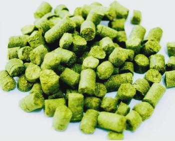 Talus Hops (Sold per gram)