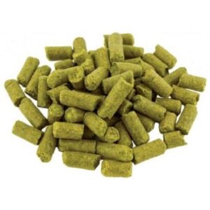 Challenger UK Hops (Sold per gram)