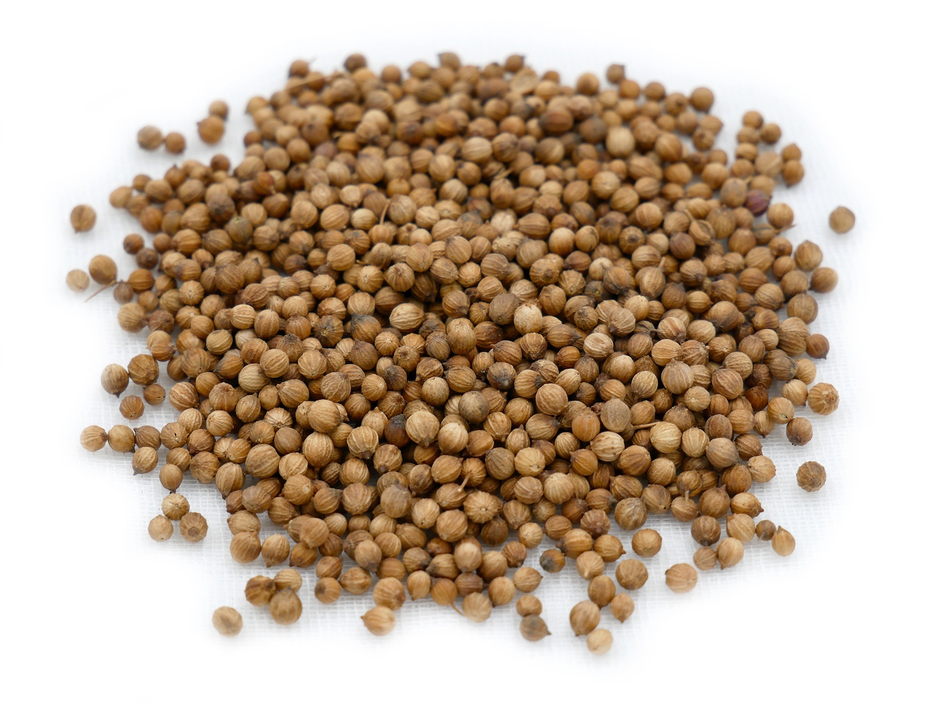 Coriander Seeds 50g