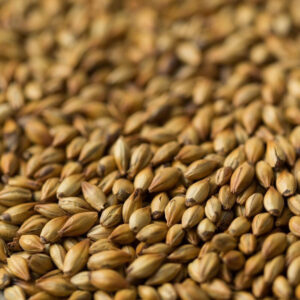 American Ale Malt ($4.10 per kg)