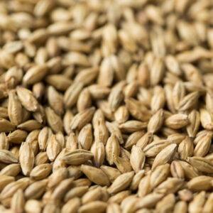 Aurora ($5.40 per kg)