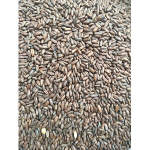 Chocolate Rye Malt ($6.40 per kg)