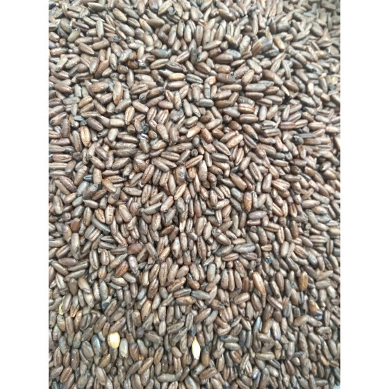 Chocolate Rye Malt ($6.40 per kg)