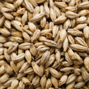 Distillers Malt ($6.70 per kg)