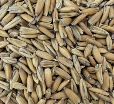 Golden Oat Malt ($5.95 per kg)