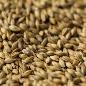 Golden Promise Malt ($6.40 per kg)