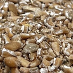 Raw Spelt ($7.60 per kg)