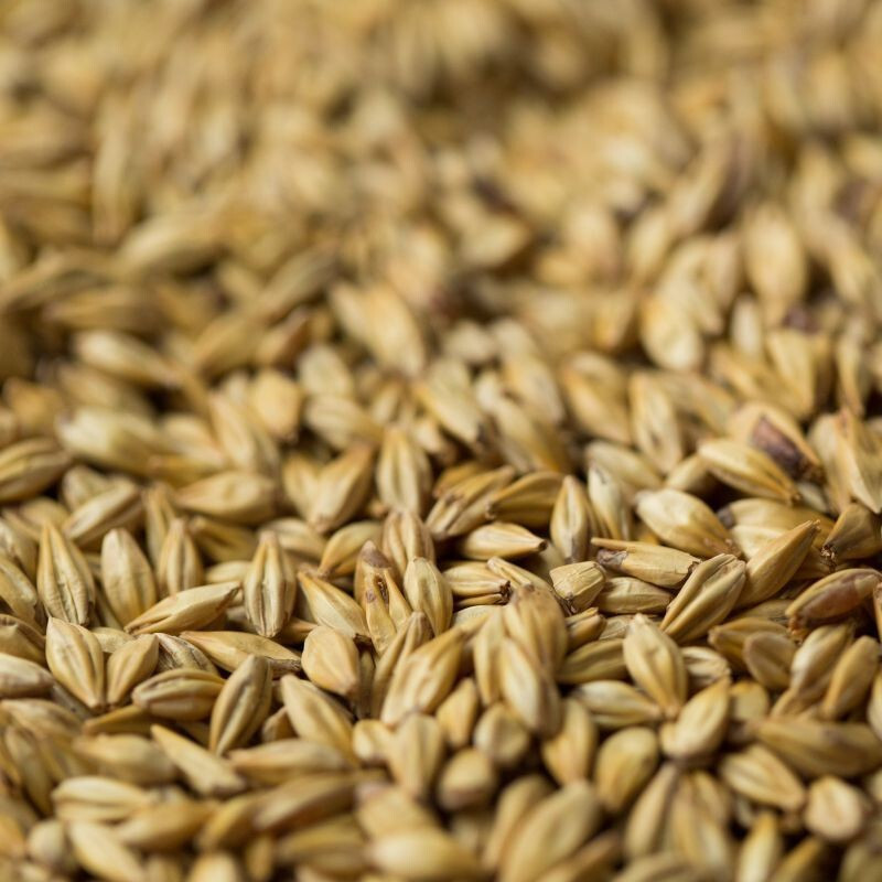 Pilsner Malt ($4.10kg)