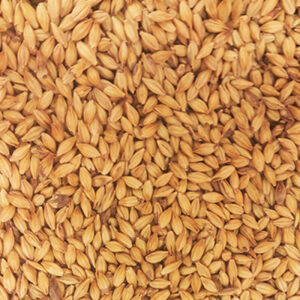 Supernova ($5.30 per kg)