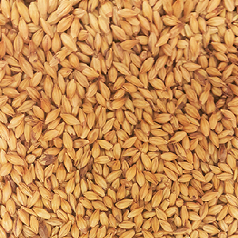 Supernova ($5.30 per kg)