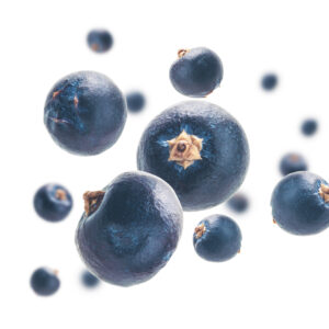 Juniper Berries 100g