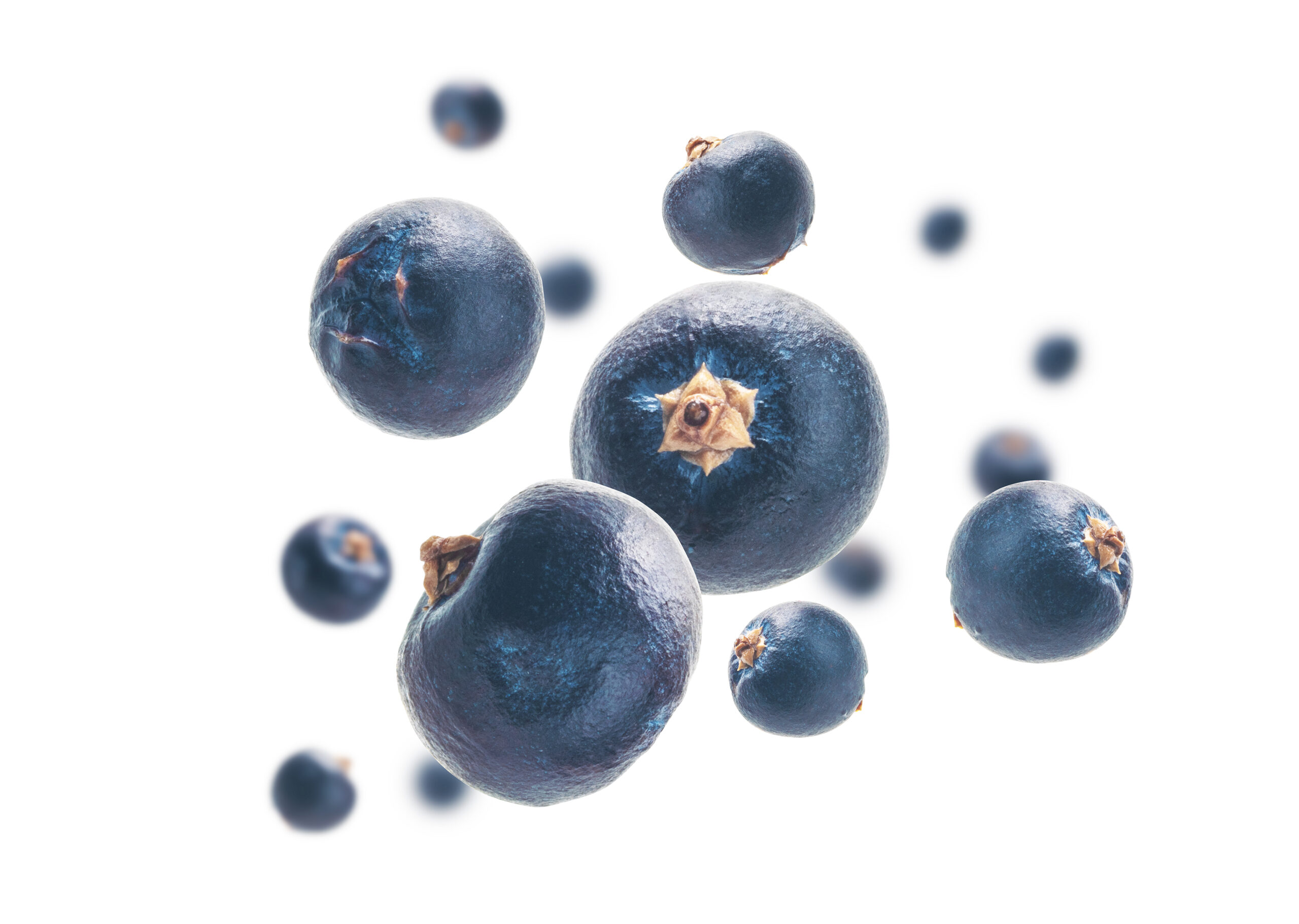 Juniper Berries 100g