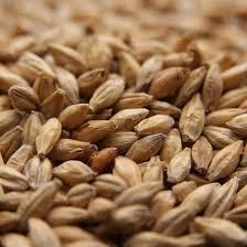 Weyermann Vienna Malt from Germany ($5.75 per kg)
