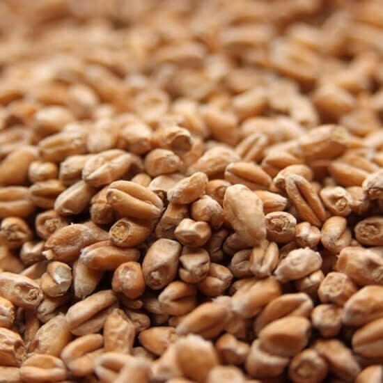 Weyermann Wheat Malt Pale ($5.75 per kg)