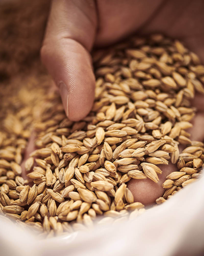 Weyermann Bohemian Pilsner Malt ($5.98 per kg)