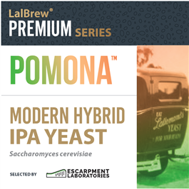 Pomona Hybrid IPA Yeast 11g