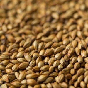 Light Crystal Malt