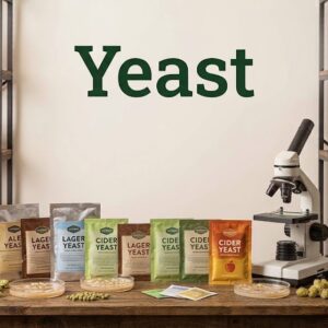 Brewing / Brewing Ingredients / Yeast