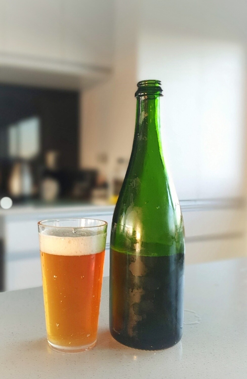 Farmhouse Ale