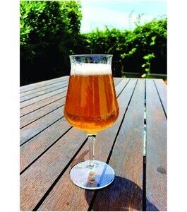 Saison All grain recipe
