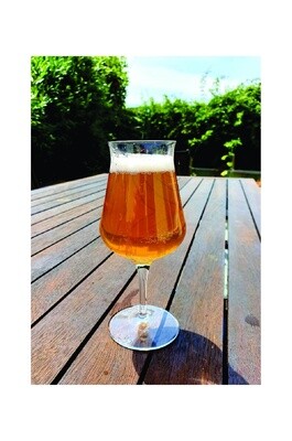 Saison All grain recipe